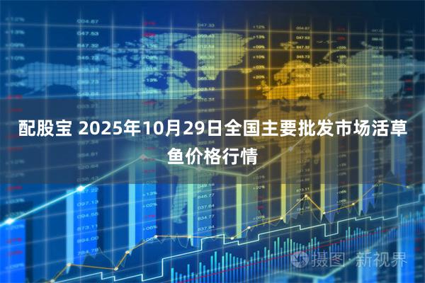 配股宝 2025年10月29日全国主要批发市场活草鱼价格行情