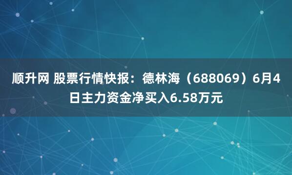 顺升网 股票行情快报：德林海（688069）6月4日主力资金净买入6.58万元