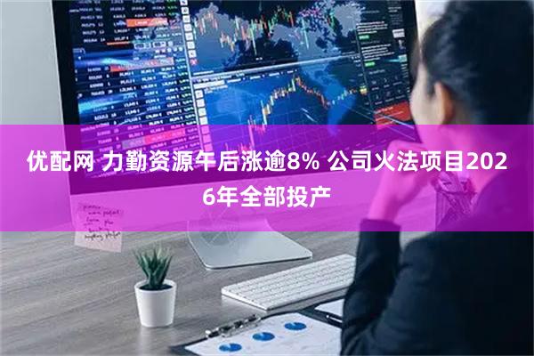 优配网 力勤资源午后涨逾8% 公司火法项目2026年全部投产