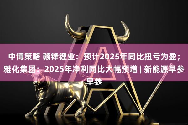 中博策略 赣锋锂业：预计2025年同比扭亏为盈；雅化集团：2025年净利同比大幅预增 | 新能源早参
