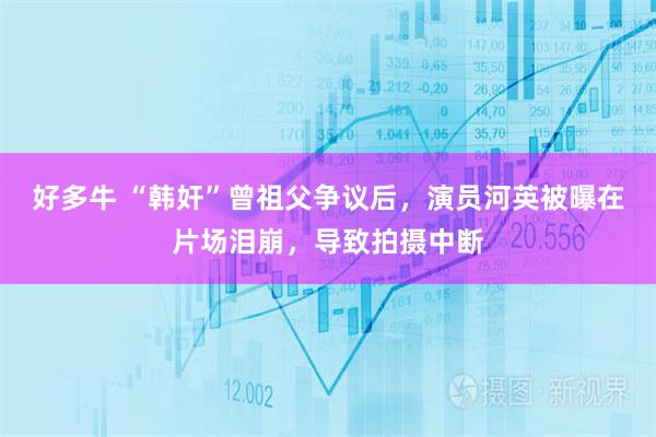 好多牛 “韩奸”曾祖父争议后，演员河英被曝在片场泪崩，导致拍摄中断